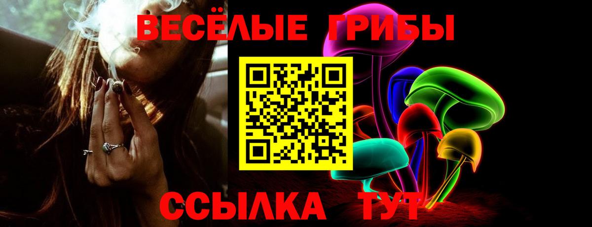 Нягань  Псилоцибиновые грибы Cubensis  Вход с VPN  Галлюциногенные грибы GOLDEN TEACHER 